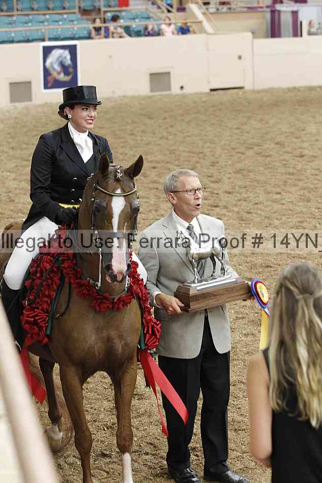 Proof 14yn_11931