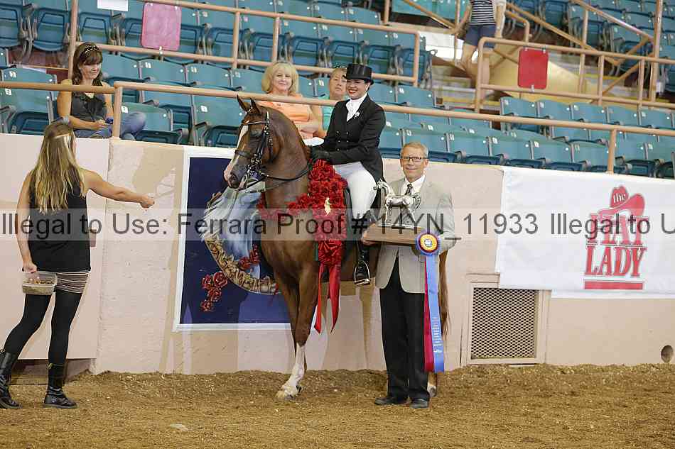 Proof 14yn_11933
