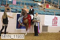 14yn_11933 proof