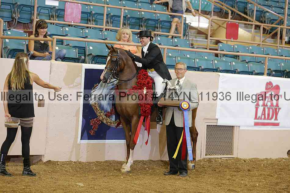 Proof 14yn_11936