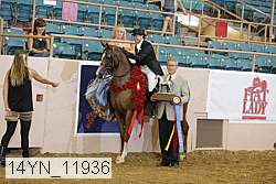14yn_11936 proof