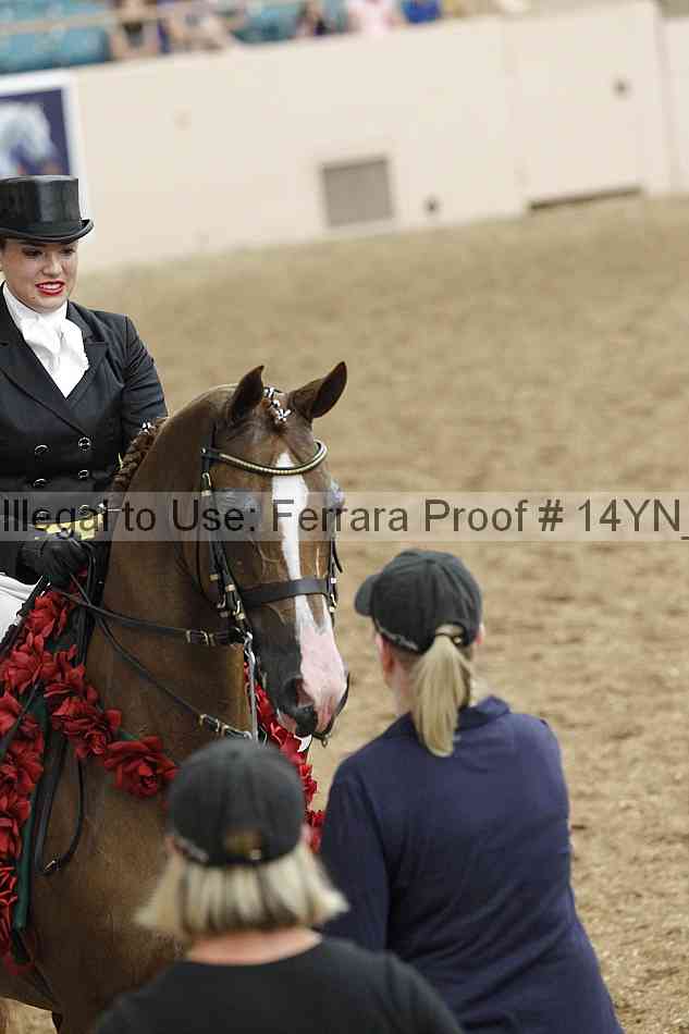 Proof 14yn_11939
