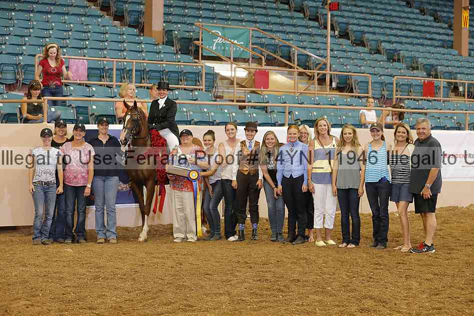 Proof 14yn_11946