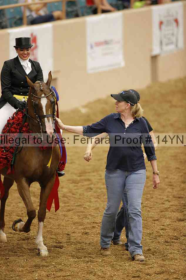 Proof 14yn_11949