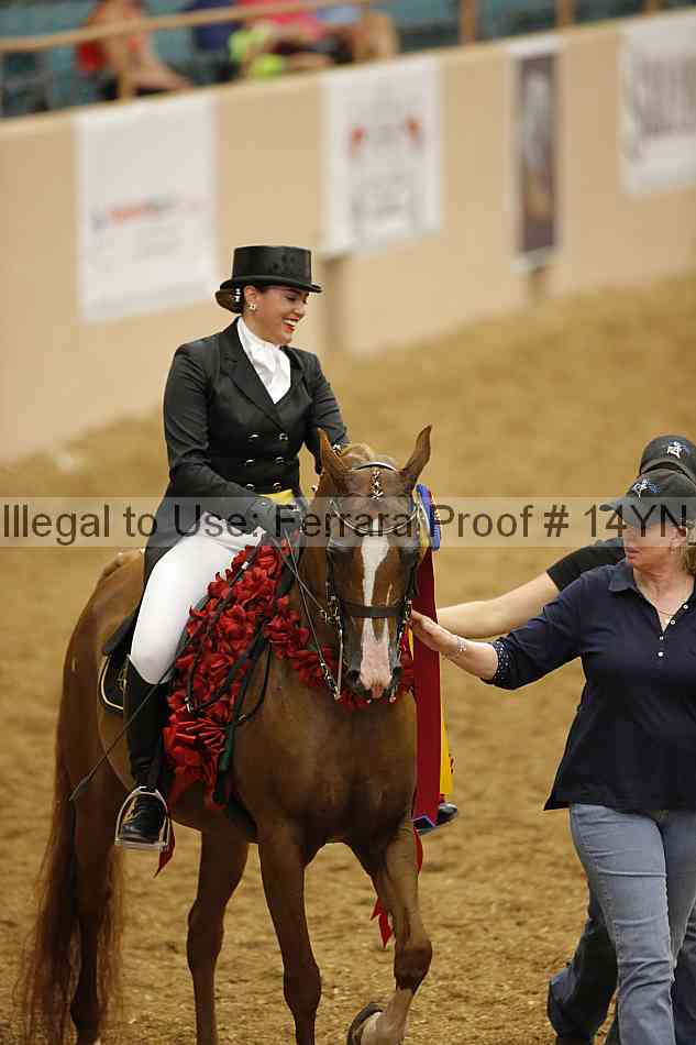 Proof 14yn_11951