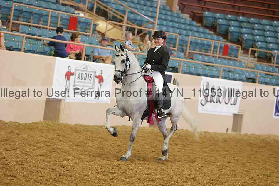 Proof 14yn_11953