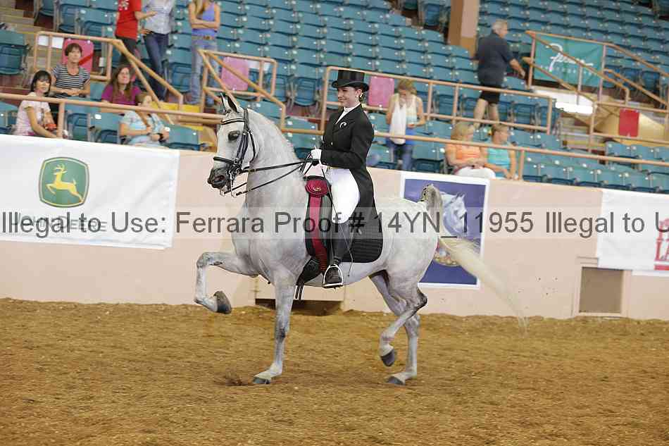 Proof 14yn_11955