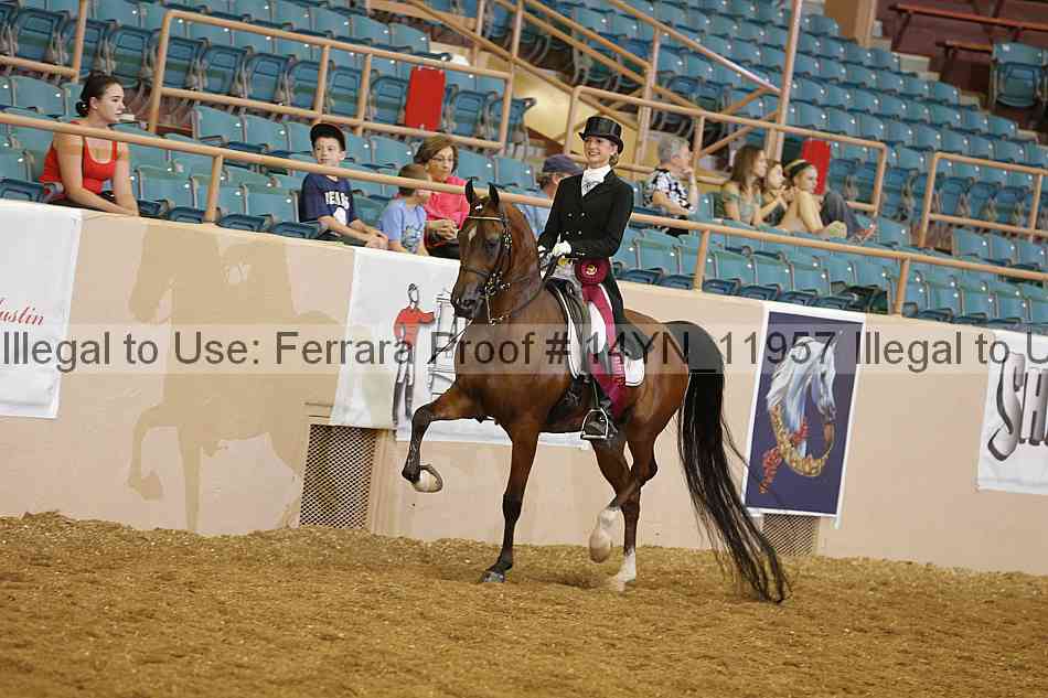 Proof 14yn_11957