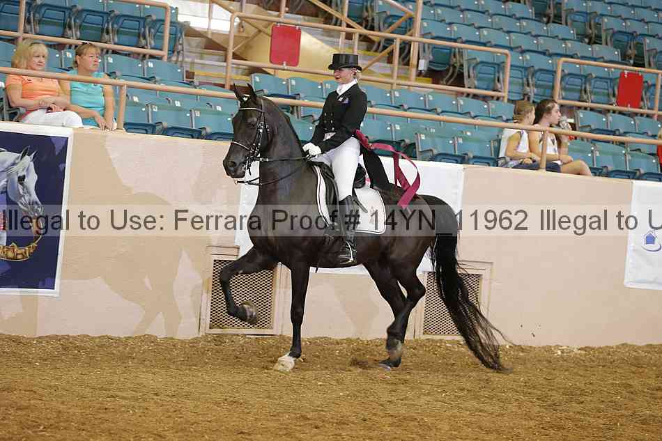 Proof 14yn_11962