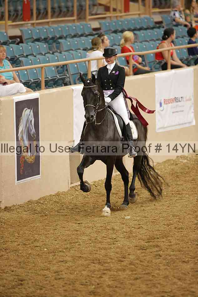 Proof 14yn_11965