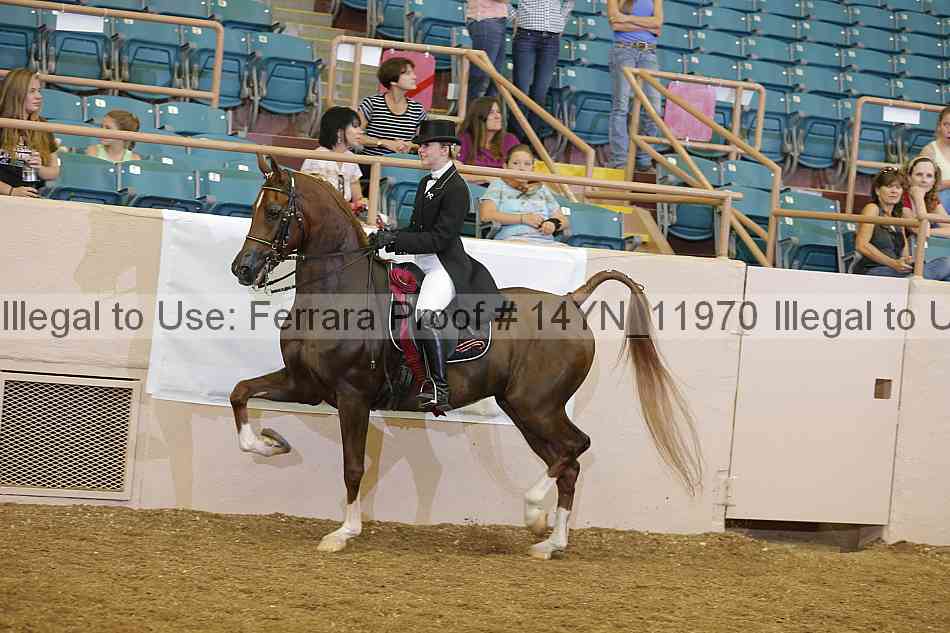 Proof 14yn_11970