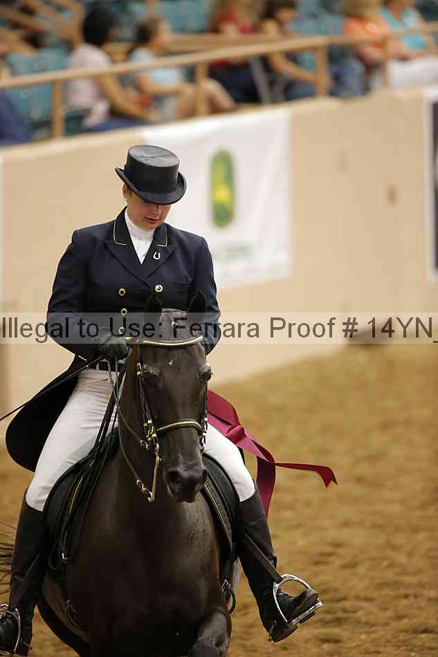 Proof 14yn_11987