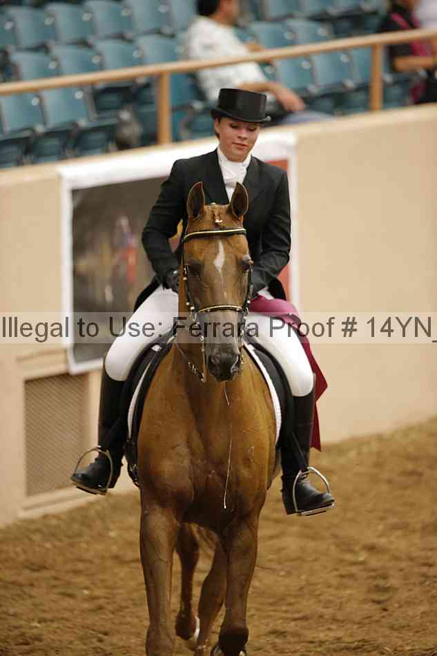 Proof 14yn_11991