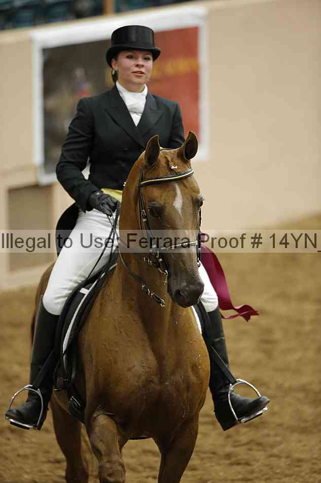Proof 14yn_11992