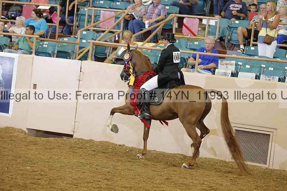 Proof 14yn_11993