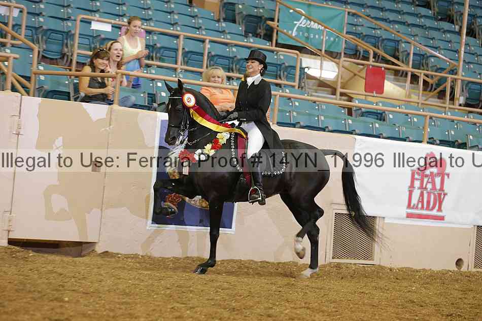 Proof 14yn_11996