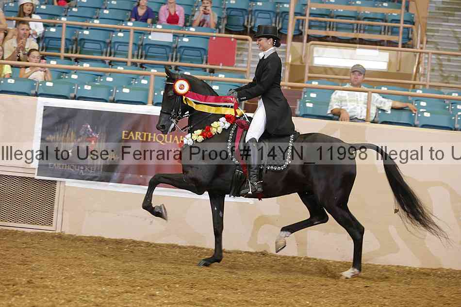 Proof 14yn_11998