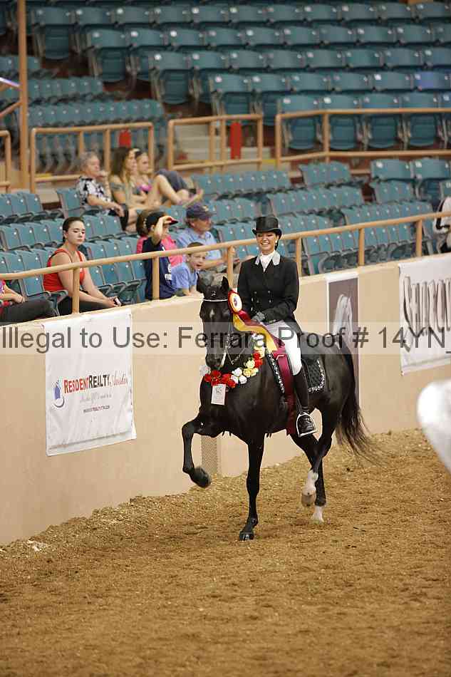Proof 14yn_11999