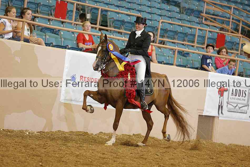 Proof 14yn_12006