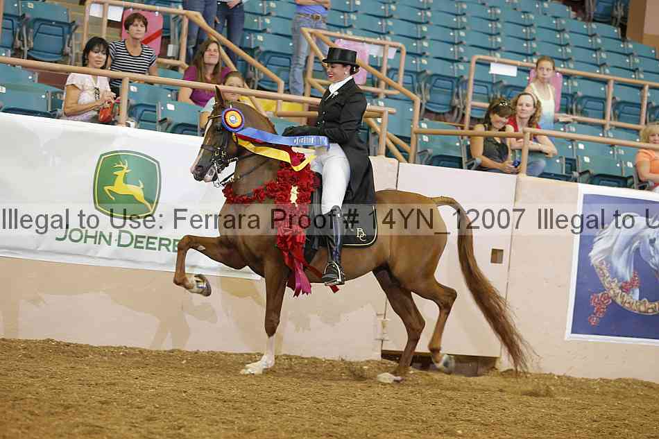 Proof 14yn_12007