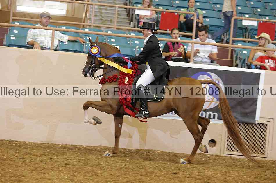Proof 14yn_12008