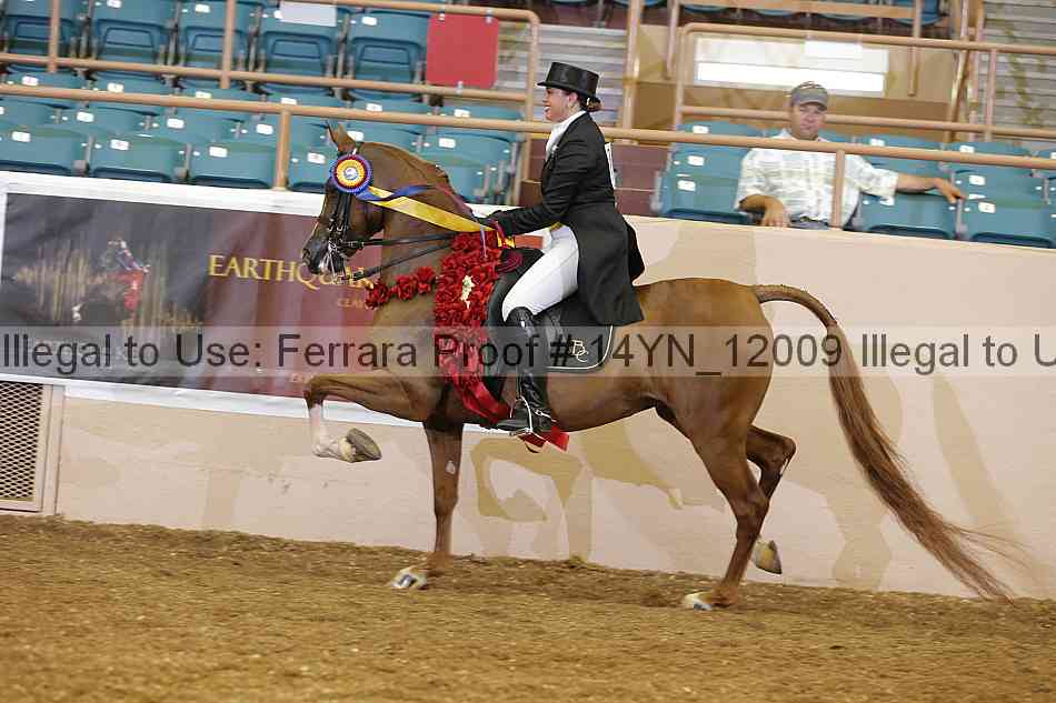 Proof 14yn_12009
