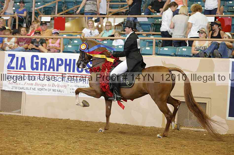 Proof 14yn_12010