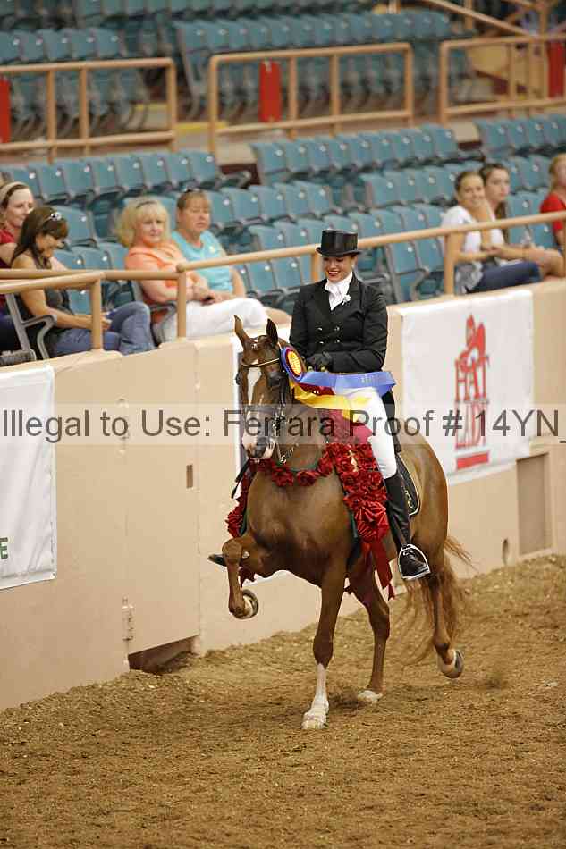 Proof 14yn_12011