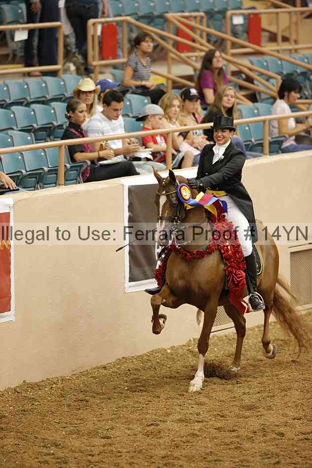 Proof 14yn_12012