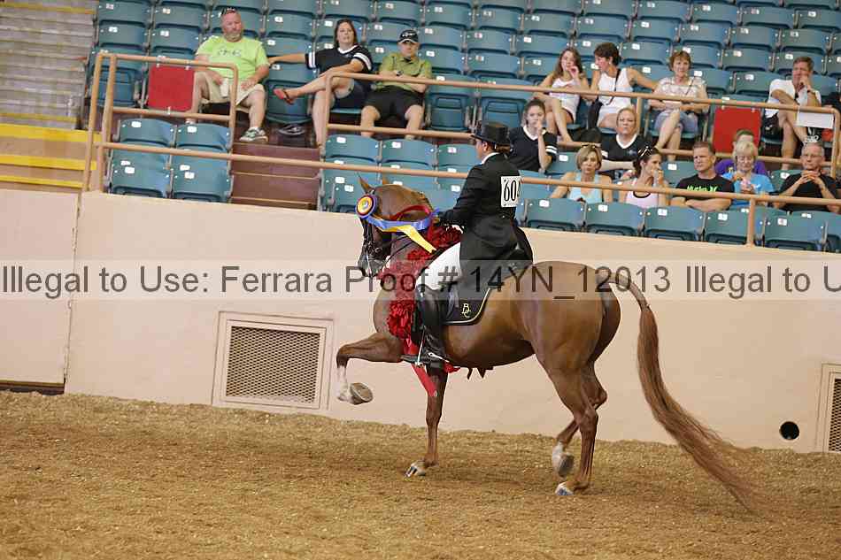 Proof 14yn_12013