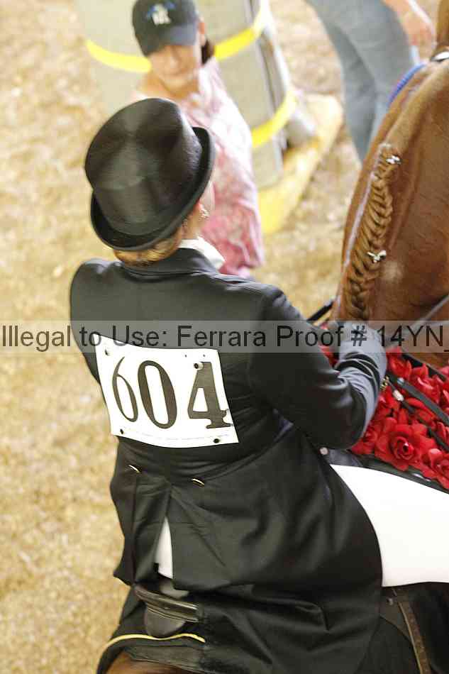Proof 14yn_12023