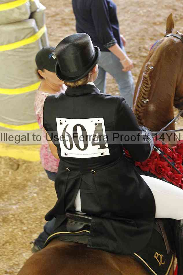 Proof 14yn_12024