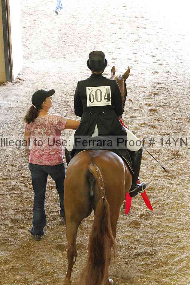 Proof 14yn_12028