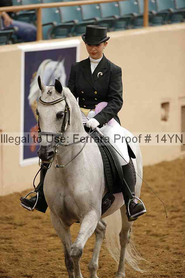 Proof 14yn_16276