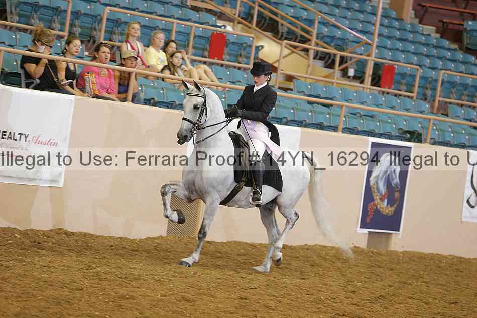 Proof 14yn_16294