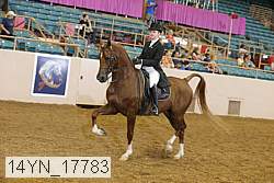 14yn_17783 proof