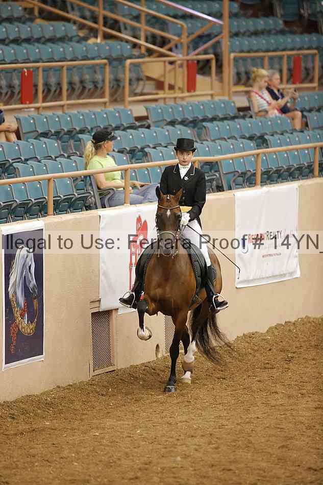Proof 14yn_17796