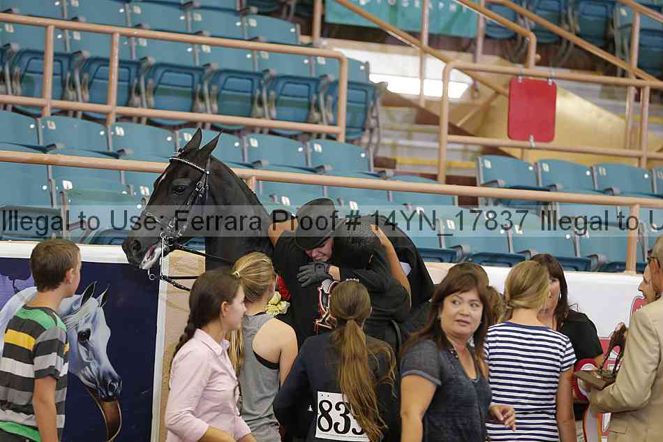 Proof 14yn_17837