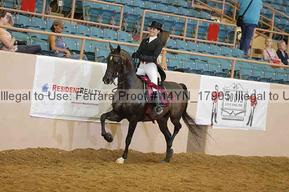 Proof 14yn_17905