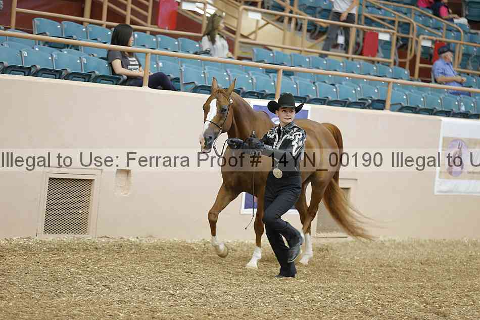 Proof 14yn_00190