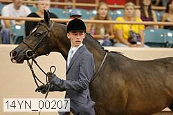 14yn_00207 proof