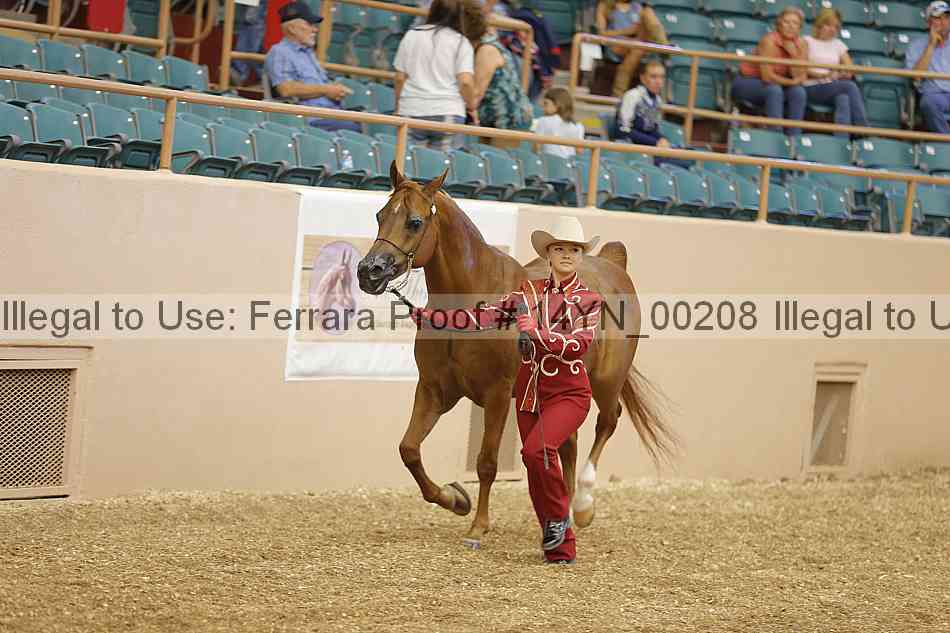 Proof 14yn_00208
