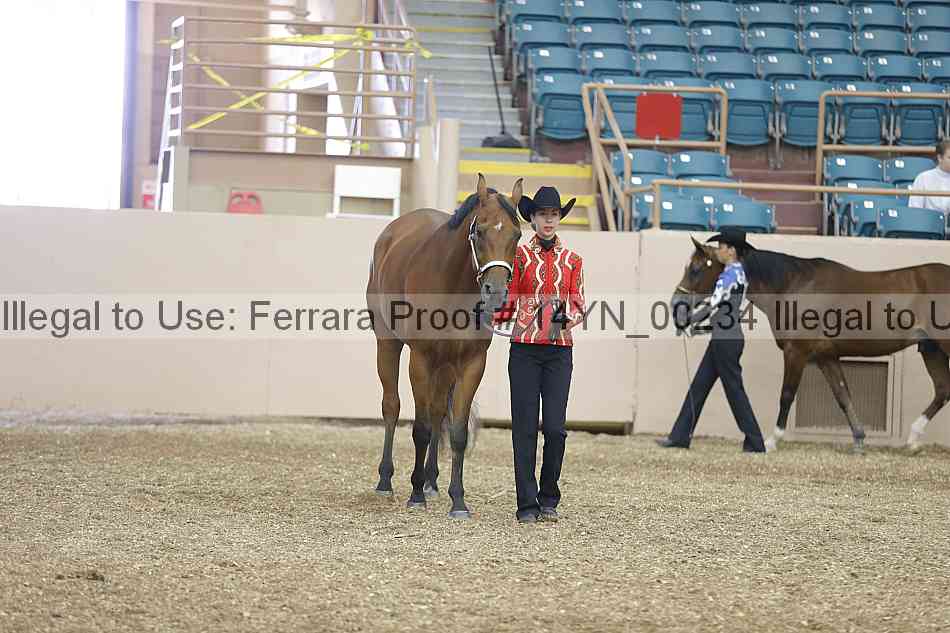 Proof 14yn_00234