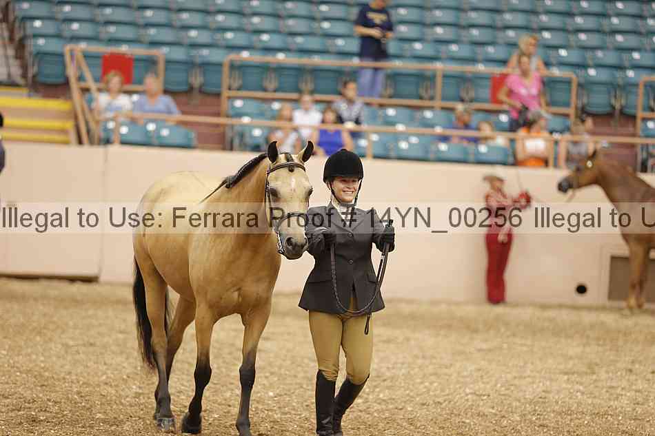 Proof 14yn_00256