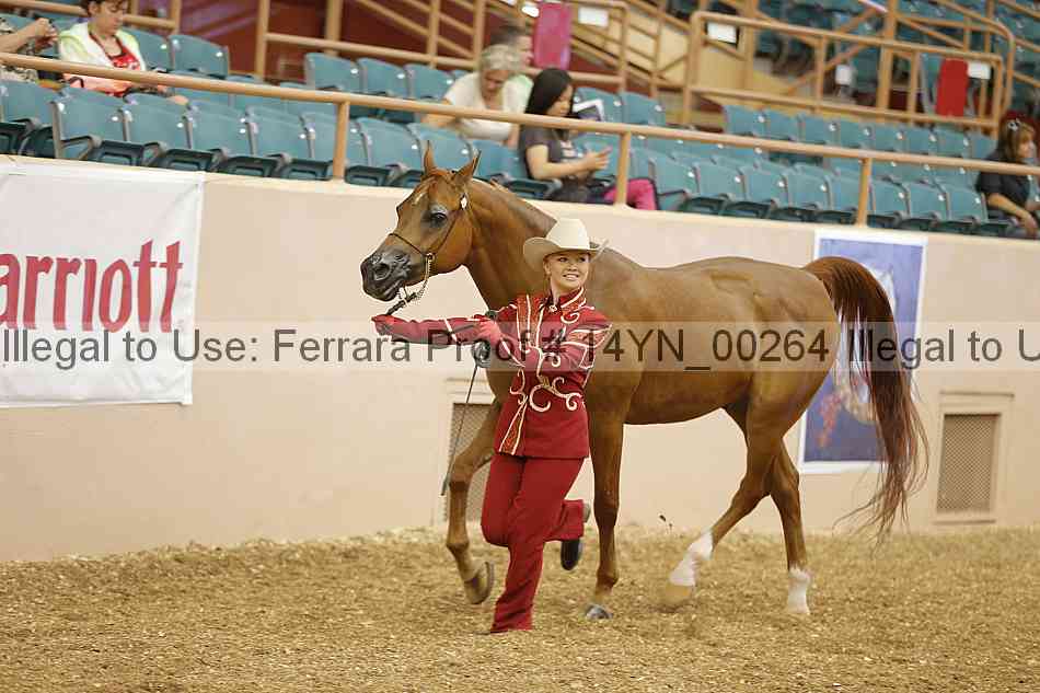 Proof 14yn_00264