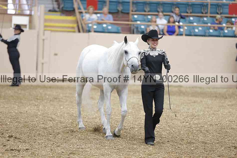 Proof 14yn_00266