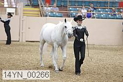 14yn_00266 proof