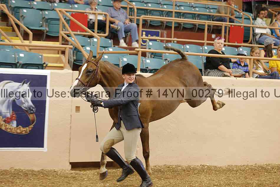 Proof 14yn_00279