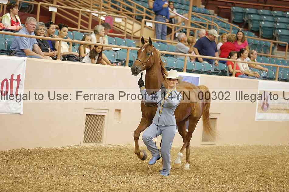 Proof 14yn_00302