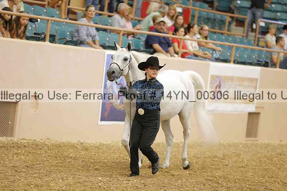 Proof 14yn_00306